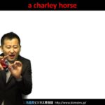 Bizmates無料英語学習 Words & Phrases Tip 187 “a charley horse”