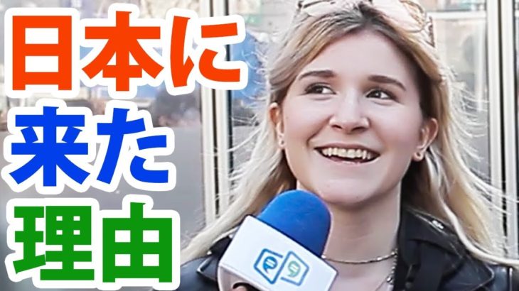 「日本に来て◯◯してみたい！」｜訪日外国人インタビュー（渋谷）｜IU-Connect英会話 #150