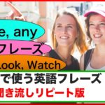 会話で使う英語フレーズ （聞き流しリピート練習＃３）【SomeとAny,  親切フレーズ、See, Look,Watchを使ったフレーズ等】