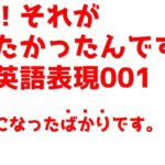 英語、それが言いたかったシリーズ001