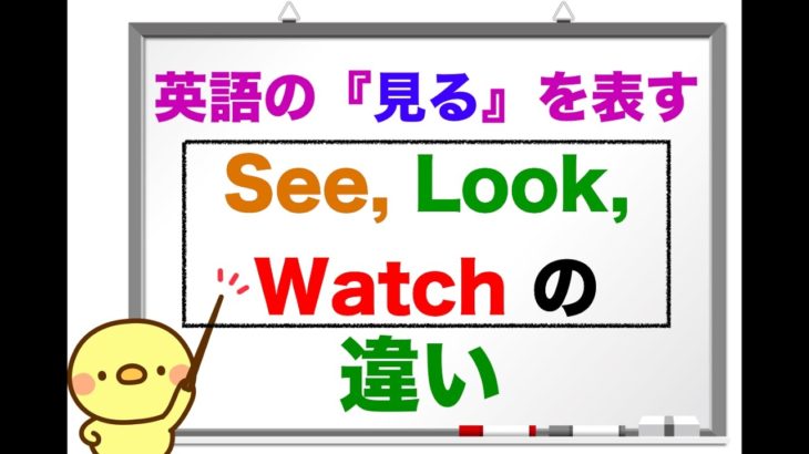 英語で『見る！』See, Look,Watchの違いは？