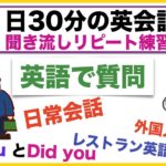 （日常会話で使う英語、外国人観光客に使える質問フレーズ集、レストラン英語、Do youとDid youの使い分け方等）１日３０分の英会話【聞き流しリピート練習】シリーズ０１４　（３回リピート版）