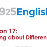 925 English Lesson 17 – Talking about Differences in English | Business English