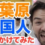 秋葉原で外国人に話しかけてみた！その結果は？｜IU-Connect英会話 #161