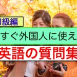 英語の質問集（今すぐ外国人に使えるフレーズ）　初級編　第４弾＜英会話のスピーキング、リスニング、意味と使い方が身につく動画レッスン＞