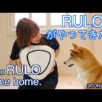 RULOがやってきた日 When RULO Came Home