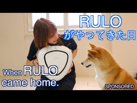 RULOがやってきた日 When RULO Came Home