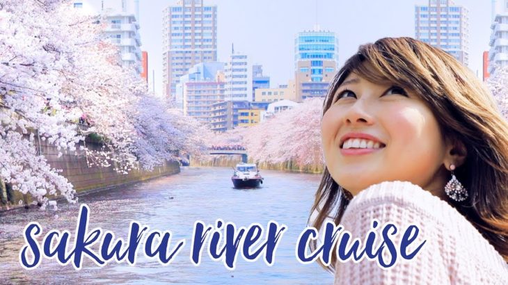 お花見クルーズで季節の英会話♪ Cherry Blossom Cruise????〔#685〕