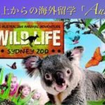 イムラン&シモン Sydney 留学ツアー 【その3】