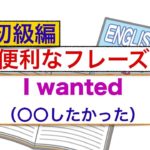 『Wanted』（〇〇したかった）を使った英語フレーズ　話せるようになる練習動画　初級編