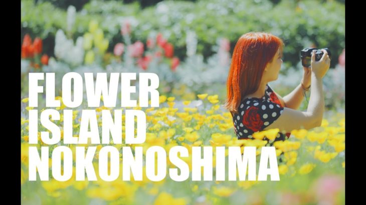 How To Visit Nokonoshima | 花の島、能古島での過ごし方!