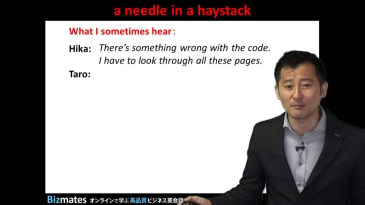 Bizmates無料英語学習 Words & Phrases Tip 193 “a needle in a haystack”