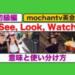 英語の『見る』See, Look,Watchの意味と使い分け方 『初級編』（初心者の方でも声出し練習で確実に上達できる！）