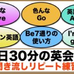 （色んなHaveの使い方、色んなGoの使い方、beの使い方７通りなど）１日３０分の英会話【聞き流しリピート練習】シリーズ００３