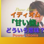 パワー イディオム 英語 慣用句 Power Idioms 17