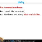 Bizmates初級ビジネス英会話 Point 126 ”picky”