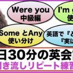 （Were you、SomeとAny 使い分け方、I’m gonnaフレーズ、英語で『そういえば』『今のところ』、OFの使い方等）１日３０分の英会話【聞き流しリピート練習】シリーズ００８