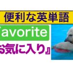 便利な英単語『Favorite（お気に入り）』を使った質問と応え方　分かりやすい動画レッスン