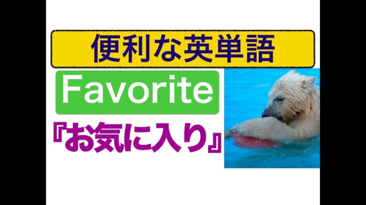 便利な英単語『Favorite（お気に入り）』を使った質問と応え方　分かりやすい動画レッスン