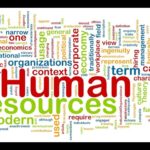 English for Human Resources VV 43 – HR Management (1) | Business English Vocabulary
