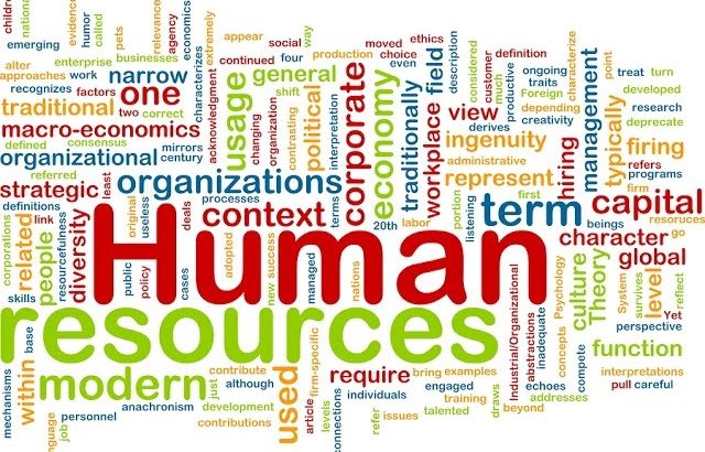 English for Human Resources VV 43 – HR Management (1) | Business English Vocabulary