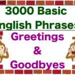 “Greetings & Goodbyes!” 3000 Basic English Phrases