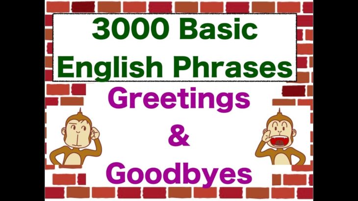 “Greetings & Goodbyes!” 3000 Basic English Phrases
