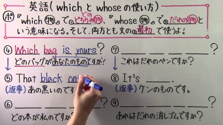 【英語】中1-22 which と whose の使い方