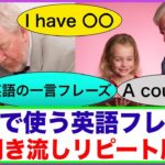 会話で使う英語フレーズ＃17（聞き流しリピート練習）【英語の熟語One of~ 、Have を使ったフレーズ、英語の一言フレーズ、Goを使ったフレーズ、Forを使ったフレーズ等】