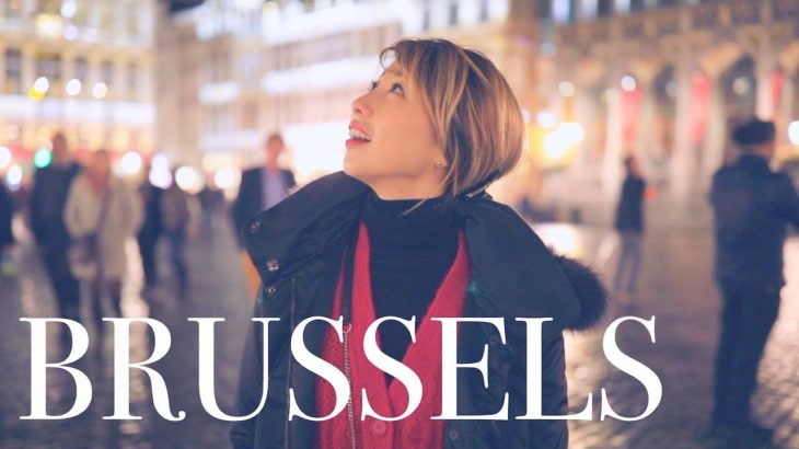 ベルギーの12時間☆ // A night in Brussels, Belgium!〔#646〕