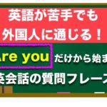 ⭐️特におすすめ！⭐️『Are you 』だけから始まる　英語が苦手でも簡単に外国人に通じる質問フレーズ！