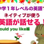 中学１年レベルでネイティブが使う英語が話せる！Would you like編