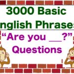 “Are you ____?” 3000 Basic English Phrases