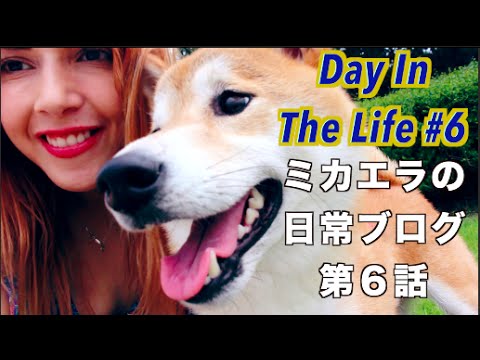 Dating My Doge 柴犬とデート ♥️ Day In The Life #6 ミカエラの日常ブログ第６話
