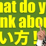 英会話のコツ：置き換え頭 (#6) 「What do you think about ~?」の使い方