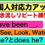 外国人対応力アップ会話で使う英語フレーズ＃13（聞き流しリピート練習）【I have been フレーズ、Is heとDoes he 疑問文、Might とMIght be フレーズ、Should等】