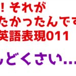 知りたかった英語！ああ、011