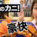 豪快！トンカチで食べるワシントンD.C.のカニ！〔#582〕【????????横断の旅 12】