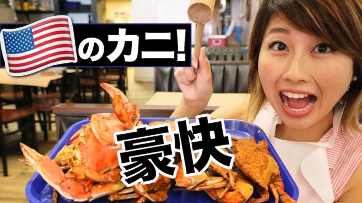 豪快！トンカチで食べるワシントンD.C.のカニ！〔#582〕【????????横断の旅 12】