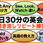 （SomeとAny 違い、See, look, Watch 違い、For 色んな使い方、英語の数え方など）１日３０分の英会話【聞き流しリピート練習】　シリーズ００２