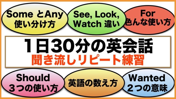 （SomeとAny 違い、See, look, Watch 違い、For 色んな使い方、英語の数え方など）１日３０分の英会話【聞き流しリピート練習】　シリーズ００２