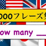 1000フレーズ集　「How many?」 何個・・？