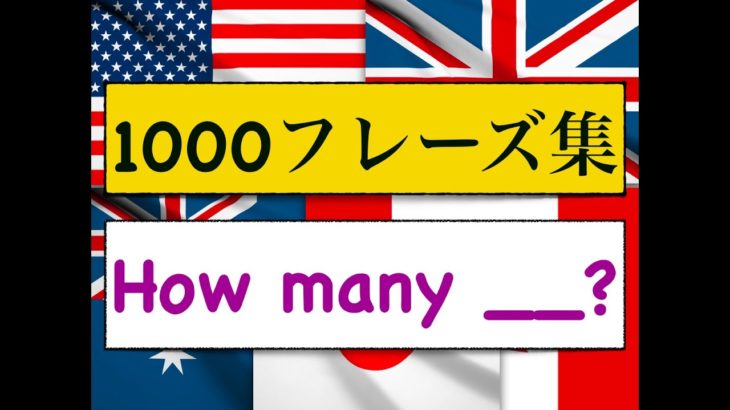 1000フレーズ集　「How many?」 何個・・？