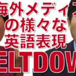 野々村議員の号泣映像、海外メディアの様々な英語表現！〔# 201〕