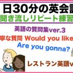 （英語で丁寧な質問Would you like?フレーズ、外国人観光客に質問ver３、レストラン英語ver３等）１日３０分の英会話【聞き流しリピート練習】シリーズ０１５（３回リピート版）