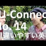 【間違いやすい 英語 14】”anything” と “something” の 使い分け IU-Connect #023