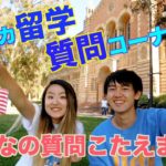 Q&A! UCLA生が留学について答えてみた！〔#556〕#ちか友留学生活