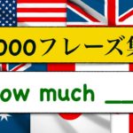 1000フレーズ集　How much?「いくら＿＿＿？、どれ位の量の＿＿＿？」を使ったフレーズが簡単に身に付くレッスン