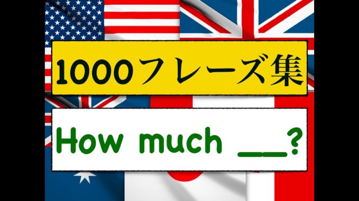 1000フレーズ集　How much?「いくら＿＿＿？、どれ位の量の＿＿＿？」を使ったフレーズが簡単に身に付くレッスン