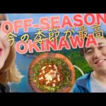 Okinawa! Tatsu and Micaela’s Off-Season Vlog – オフシーズンの沖縄の旅！